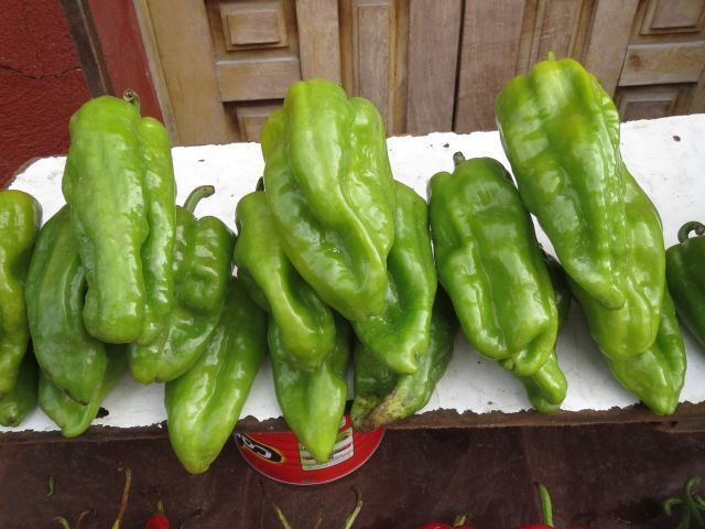 La diversidad de chiles en México