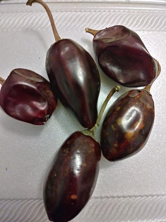La diversidad de chiles en México