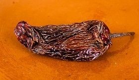 La diversidad de chiles en México