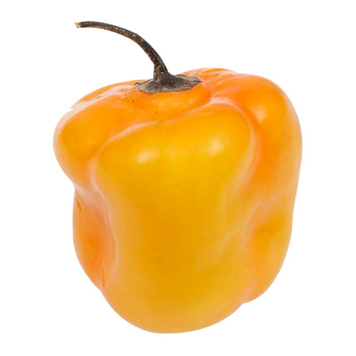 La diversidad de chiles en México
