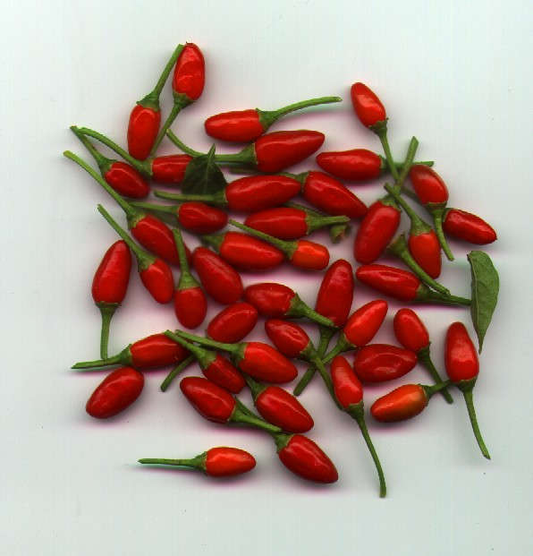 La diversidad de chiles en México