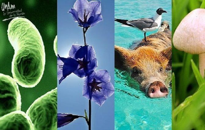 Das Atom als grundlegender Bestandteil des Menschen und der Natur.