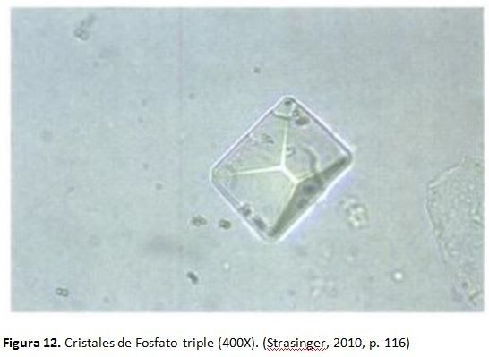 Cristal de fosfato triple