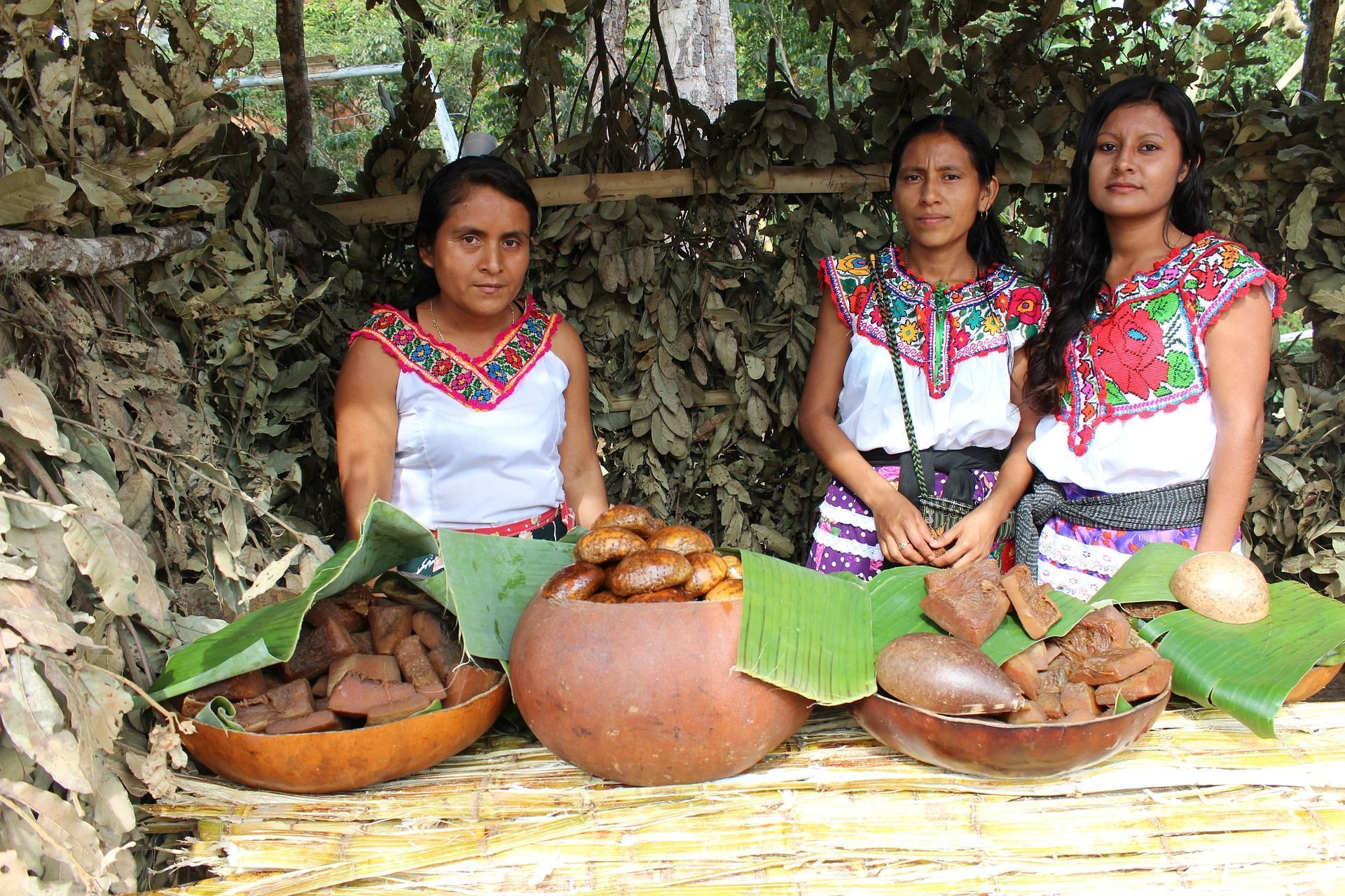 LOS INDÍGENAS DEL CARIBE COLOMBIANO