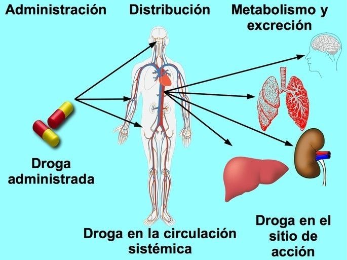 PRINCIPIOS DE LA FARMACOTERAPIA; Farmacocinética e Interacciones fármaco-receptor y farmacodinamia