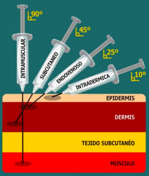 PRINCIPIOS DE LA FARMACOTERAPIA; Farmacocinética e Interacciones fármaco-receptor y farmacodinamia