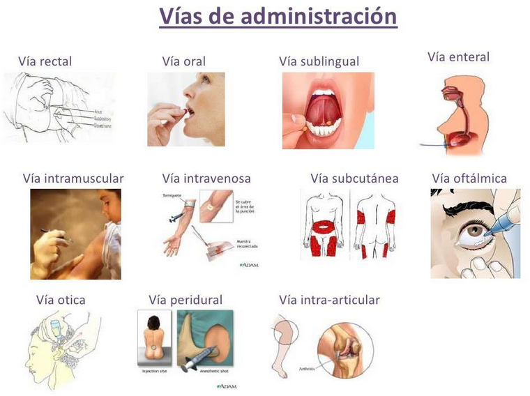 PRINCIPIOS DE LA FARMACOTERAPIA; Farmacocinética e Interacciones fármaco-receptor y farmacodinamia