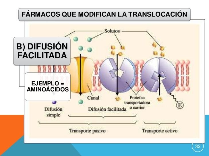 PRINCIPIOS DE LA FARMACOTERAPIA; Farmacocinética e Interacciones fármaco-receptor y farmacodinamia