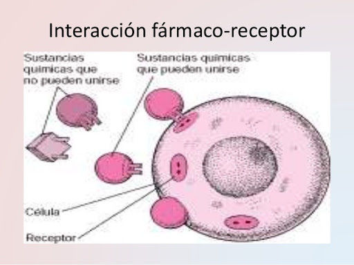 PRINCIPIOS DE LA FARMACOTERAPIA; Farmacocinética e Interacciones fármaco-receptor y farmacodinamia