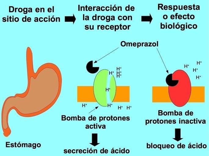 PRINCIPIOS DE LA FARMACOTERAPIA; Farmacocinética e Interacciones fármaco-receptor y farmacodinamia
