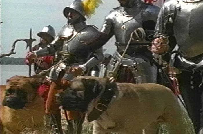 CAUSAS Y CONSECUENCIAS DE LA CAÍDA DEL IMPERIO INCA