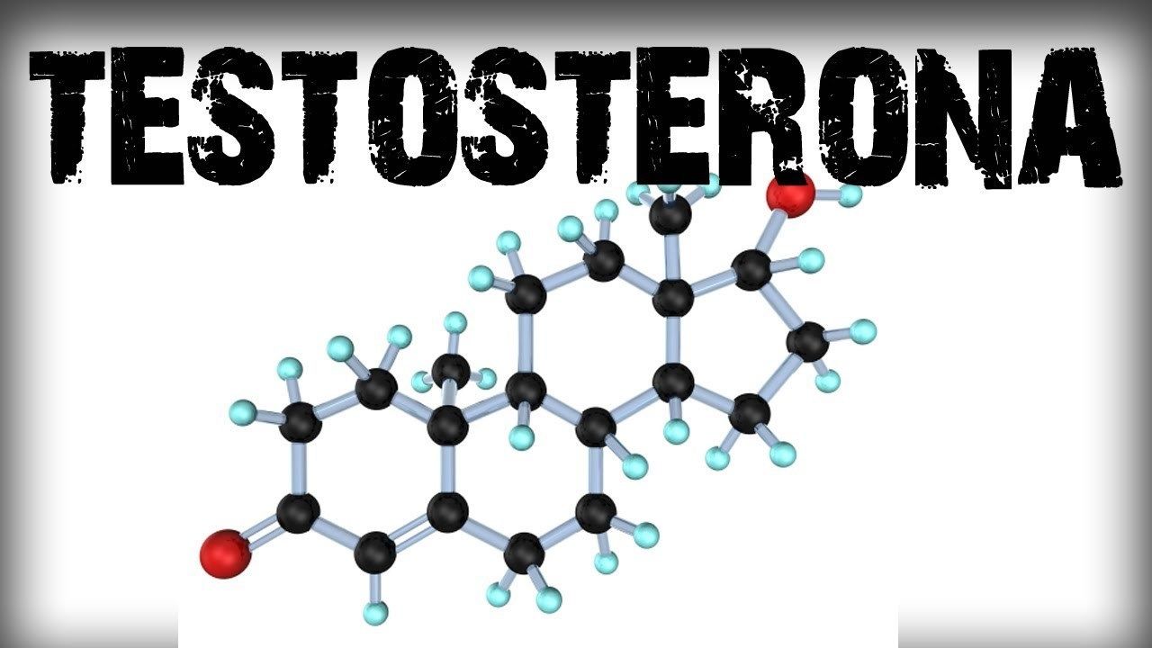 El sistema nervioso en relación con el sistema reproductivo