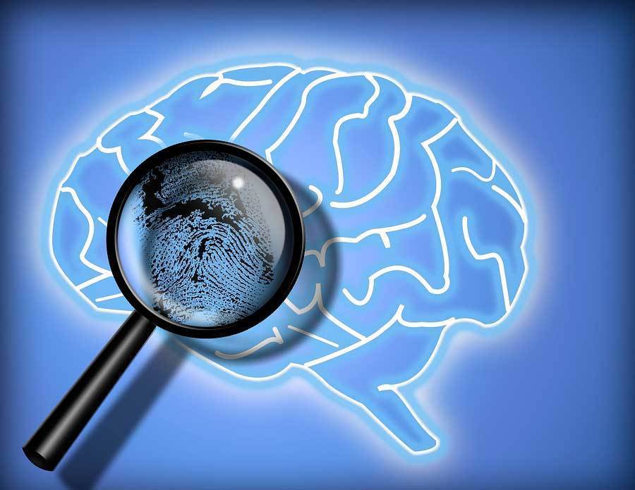 8. PSICOLOGÍA FORENSE