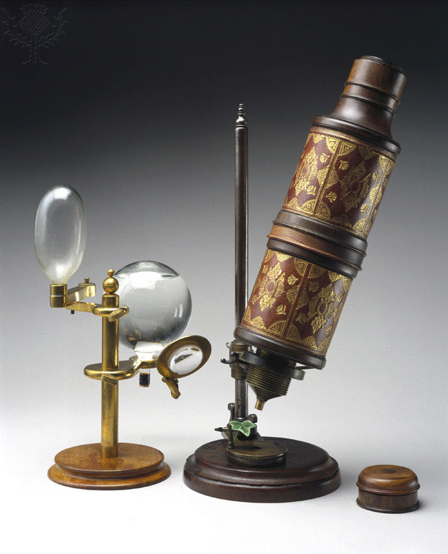 Image for question 5