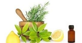 PRINCIPIOS DE LA FARMACOGNOSIA Y LOS COMPONENTES DE LA FARMACOERGASIA.