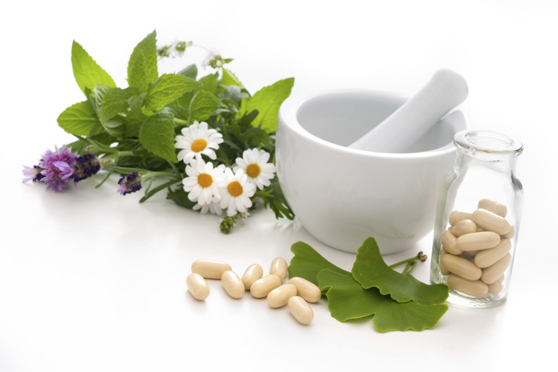 PRINCIPIOS DE LA FARMACOGNOSIA Y LOS COMPONENTES DE LA FARMACOERGASIA.