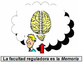 Los tipos de pensamiento del modelo COL