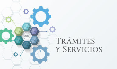 "Ascenso y consulta de las herramientasdel portal ciudadano del Gobierno delEstado de México"