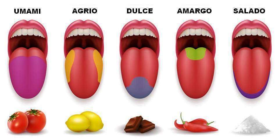 AFERENCIAS ESPECIALES, SISTEMAS INTEGRADORES Y EFERENCIAS
