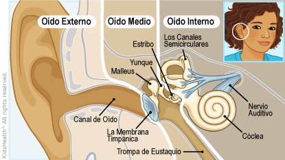 AFERENCIAS ESPECIALES, SISTEMAS INTEGRADORES Y EFERENCIAS
