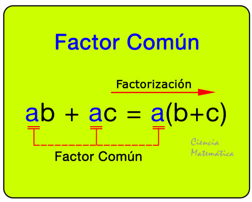 Casos de Factoreo | Flashcards