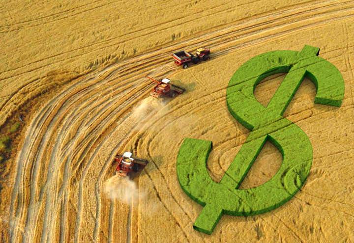 O alimento ou produto das plantações industriais são comercializados no mercado internacional (bolsa de valores) e a riqueza é acumulada ...