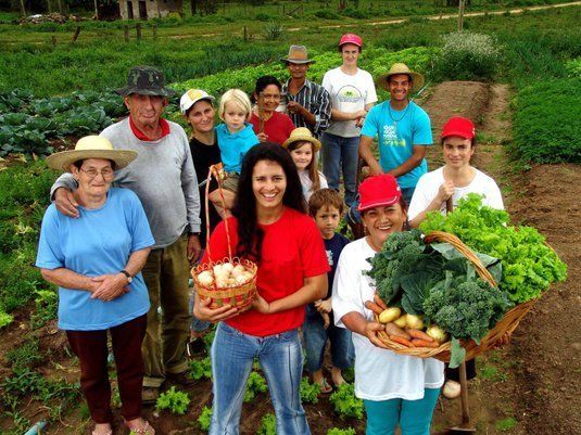 A Agricultura Familiar, ainda exerce um papel importante na economia nacional, pois além de produzir o alimento de sua própria família, e...