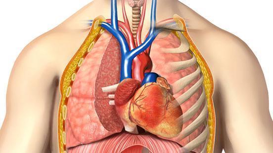 Drenaje venoso: El drenaje venoso pulmonar anómalo total (DVPAT) o conexión venosa pulmonar anómala total (CVPAT) es un defecto cardiaco ...