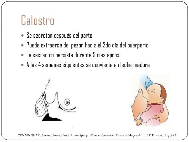 Signos y síntomas de presunción, probabilidad y certeza en el embarazo.