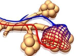 Image for question 3
