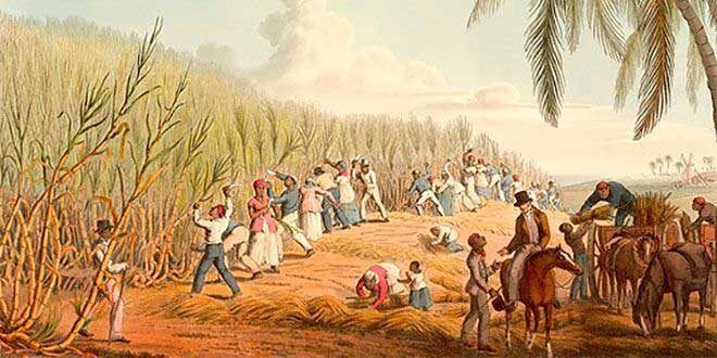 y comercio triangular