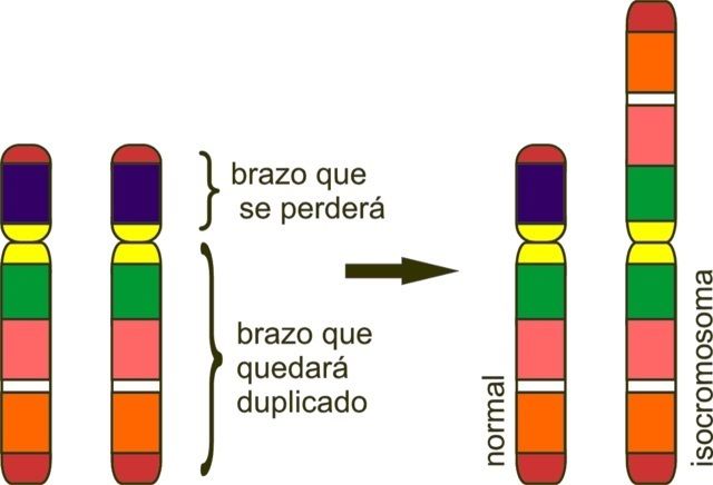 isócroma