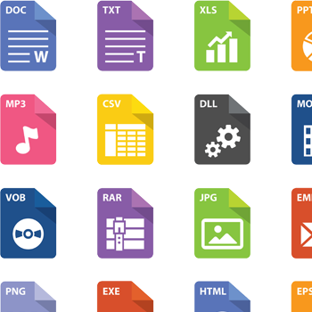 File Type