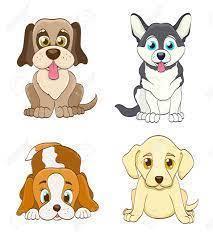 Perros täq tz'i'