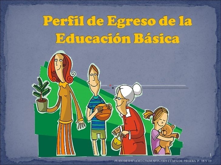 El perfil de egreso esta organizado de la siguiente forma: