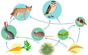 Image for question 4