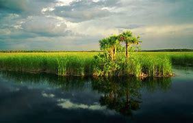 Everglades