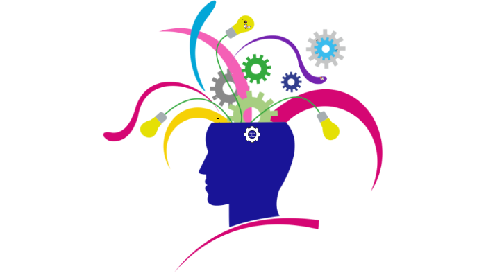 Fundamentos epistemológicos, disciplinares y pedagógicos