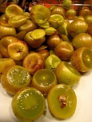 47. scuppernong
