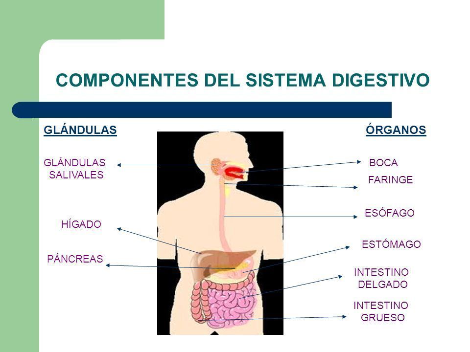 Definición
