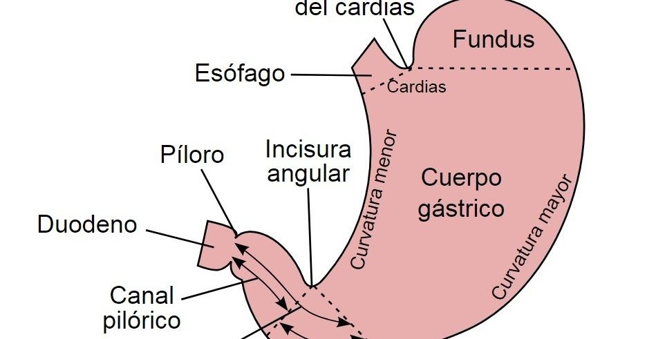 Definición