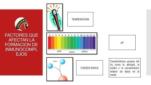 Inmunodifusión Radial (IDR)