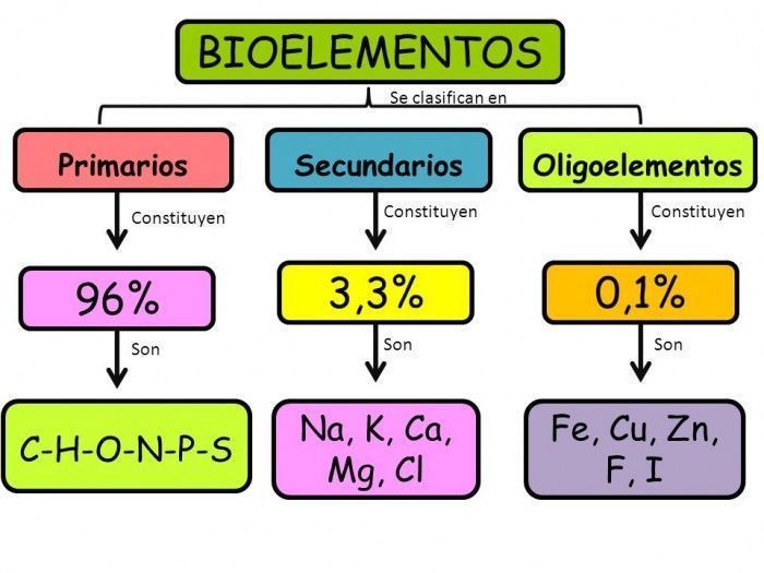 CLASIFICACION DE LOS BIOELEMENTOS