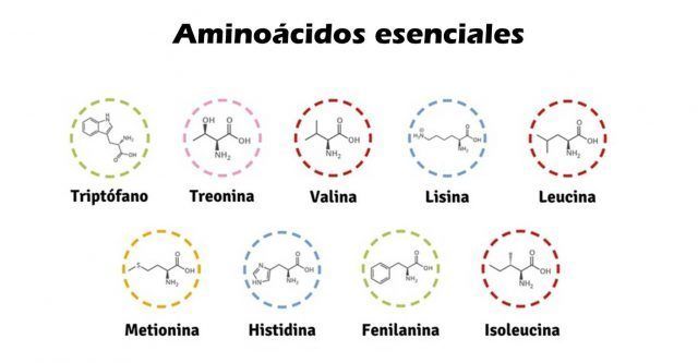 LA BIOQUIMICA Y SUS COMPONENTES