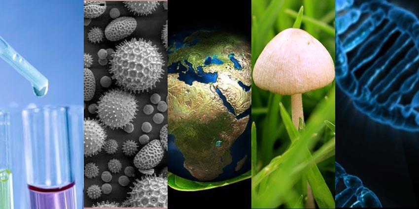 CIENCIAS NATURALES
