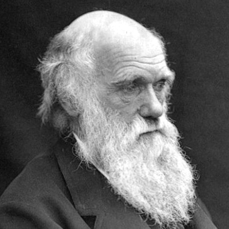 Charles Darwin en 1809 a 1882 naturalista inglés sin duda su aporte es uno de los más significativos para la reconstrucción del pasado bi...
