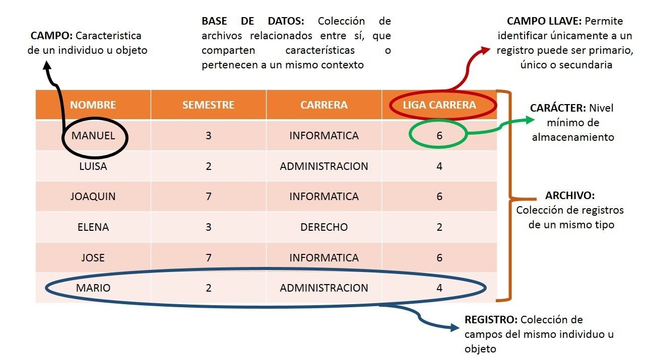 CAMPO Es la unidad de información más pequeña que se compone de un solo dato. Ejemplo: Campo Nombre, Campo Apellido, Campo edad