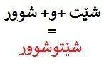 کوڕەکە شێتوشوورە
