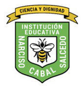 EVALUACION CIBERDEPENDENCIA GRADO 9°1