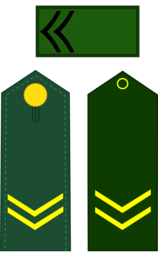 sargento primero